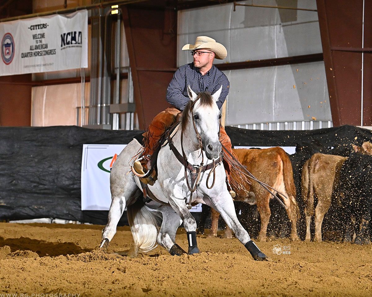 Cutting horse working a cow in competition