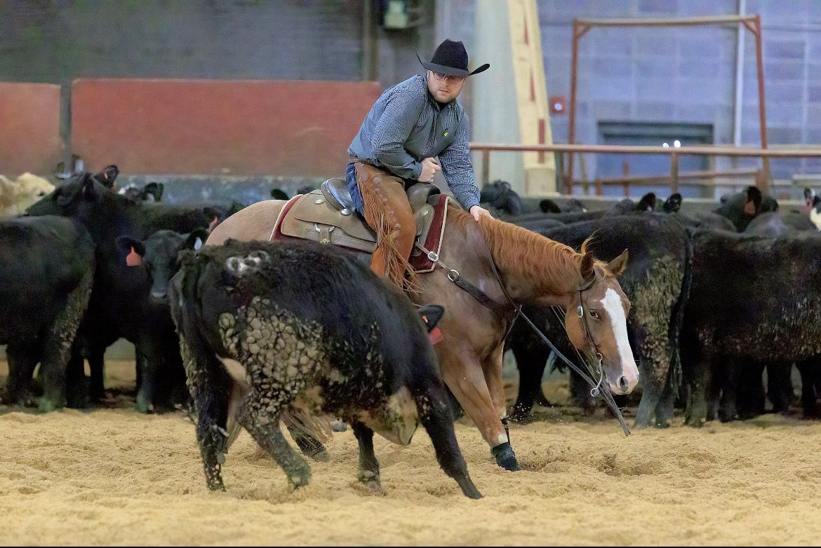 Cutting run in a show arena