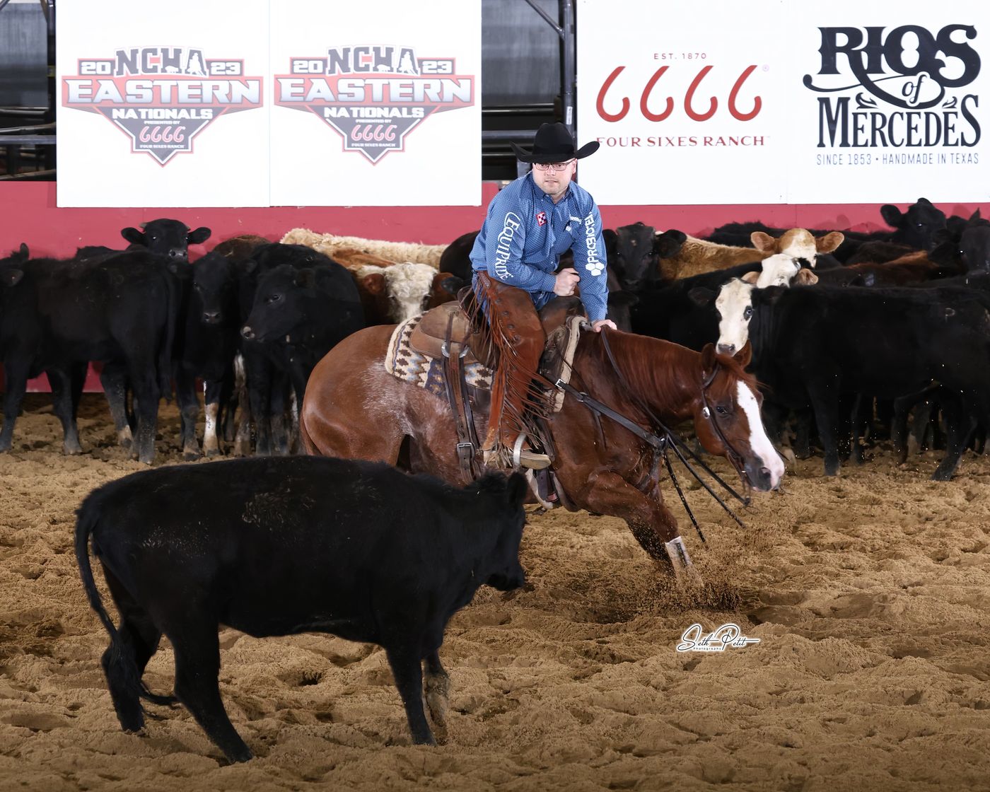 Matt Williams competing on a cutting horse